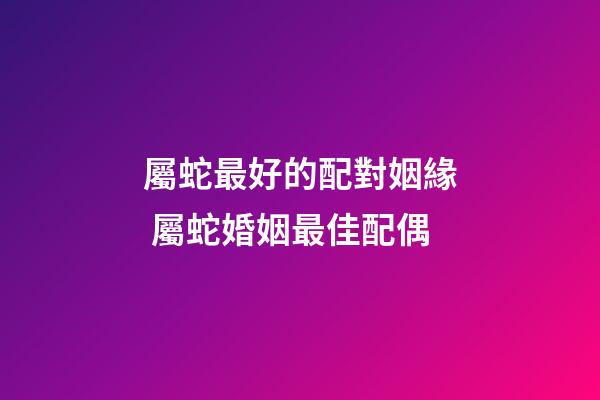 屬蛇最好的配對姻緣 屬蛇婚姻最佳配偶-第1張-觀點-玄機派